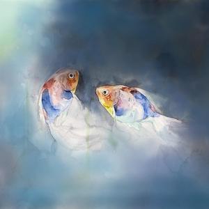 埃及猫黄化的视频
